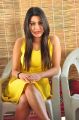 Actress Yamini Malhotra Stills @ Chuttalabbayi Press Meet