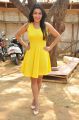 Actress Yamini Malhotra Stills @ Chuttalabbayi Press Meet