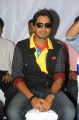 Allari Naresh at Yamudiki Mogudu Movie Press Meet Stills