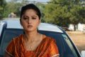 Actress Anushka in Yamudu 2 (Singam 2) Movie Photos