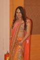 Yash Chopra Memorial Awards 2013 Photos