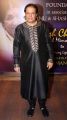 Yash Chopra Memorial Awards 2013 Photos