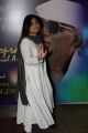 Yash Chopra Memorial Awards 2013 Photos