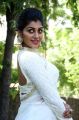 Actress Yashika Anand Images HD @ NOTA Press Meet