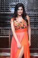 Actress Yashika Aannand Latest Photoshoot Pictures