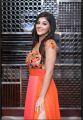 Actress Yashika Anand Latest Photoshoot Pictures