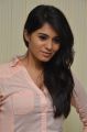 Actress Deepa Sannidhi @ Yatchan Movie Team Intertview Photos