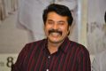 Yatra Movie Hero Mammootty Interview Stills