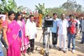 Yellow Mushrooms Entertainment New Movie Opening Stills