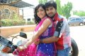 Yellow Mushrooms Entertainment New Movie Opening Stills