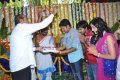 Yellow Mushrooms Entertainment New Movie Opening Stills