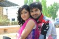 Yellow Mushrooms Entertainment New Movie Opening Stills