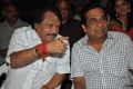 Kodi Ramakrishna, Brahmanandam @ Yeluka Majaka Movie Logo Launch Stills