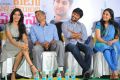 YVM Movie Success Meet Photos