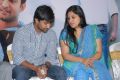 Nani,  Reshma Ghatala at Yeto Vellipoyindi Manasu Movie Success Meet Photos