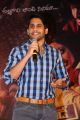 Naga Chaitanya @ Yevade Subramanyam Success Meet Stills