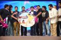 Yevadu Audio Release Function Gallery