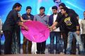 Yevadu Audio Release Function Photos