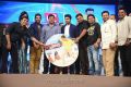 Yevadu Audio Release Function Photos