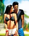 Hot Amy Jackson, Ram Charan in Yevadu Movie Latest Stills