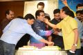 Yevadu Release Date Announcement Press Meet Stills