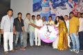 Youthful Love Movie Audio Launch Photos