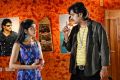 Youthful Love Movie New Pictures