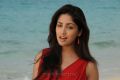 Actress Yami Gautam in Yuddam Movie Photos