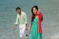 Tarun, Yami Gautam in Yuddam Movie Photos