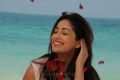 Actress Yami Gautam in Yuddam Movie Photos