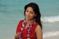 Actress Yami Gautam in Yuddam Movie Photos