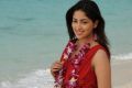 Actress Yami Gautam in Yuddam Movie Photos