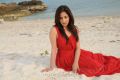 Actress Yami Gautam in Yuddam Movie Photos