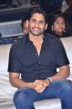 Naga Chaitanya @ Yuddham Sharanam Movie Audio Launch Stills