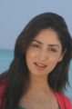 Heroine Yami Gautam New Pictures in Yudham Movie