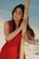 Yuddham Movie Heroine Yami Gautam New Pictures