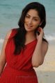 Yuddham Heroine Yami Gautam New Pictures