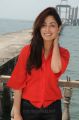 Yuddam Movie Actress Yami Gautam New Pictures