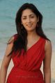 Yuddam Heroine Yami Gautam New Pictures