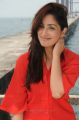 Yudham Yami Gautam New Pictures