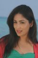 Yuddham Movie Heroine Yami Gautam New Pictures