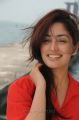 Yuddham Heroine Yami Gautam New Pictures