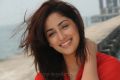 Yudham Heroine Yami Gautam New Pictures