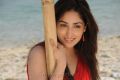 Yudham Heroine Yami Gautam New Pictures