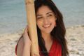 Yuddam Movie Actress Yami Gautam New Pictures