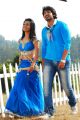 Radhika Pandit, Prajwal Devaraj in Yuvakudu Movie Hot Stills
