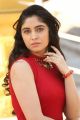 Actress Zahida Sam Photos @ Degala Srinu Movie Launch