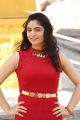 Actress Zahida Sam Photos @ Degala Srinu Movie Launch