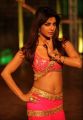 Actress Priyanka Chopra Hot in Zanjeer Movie Photos