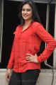 Actress Zara Stills @ Bhai Triple Platinum Disc Function